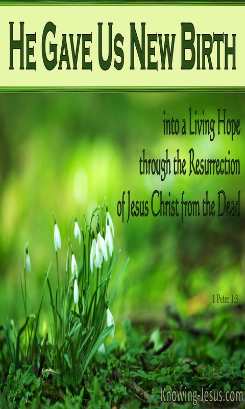 1 Peter 1:3  He Gave Us New Birth (green)